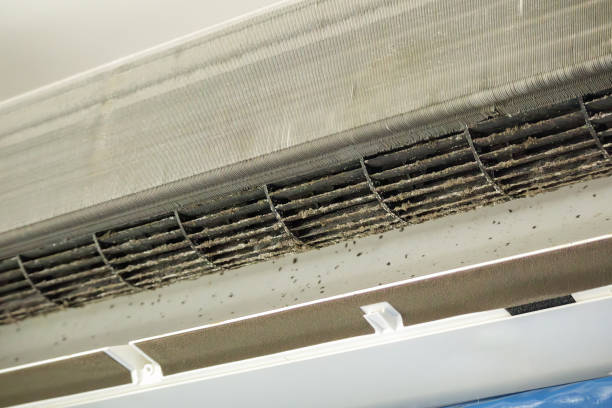 Best HVAC Duct Inspection Services  in Port St John, FL